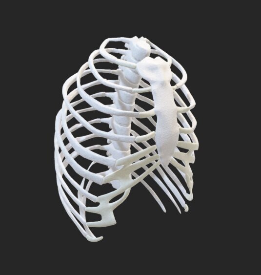 Struttura umana simile ad una nave