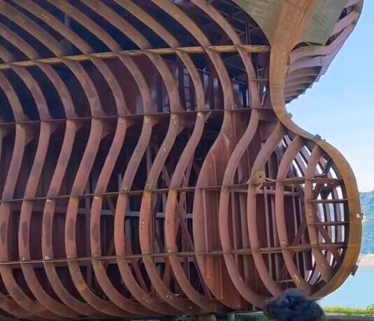 Struttura trasversale del bulbo